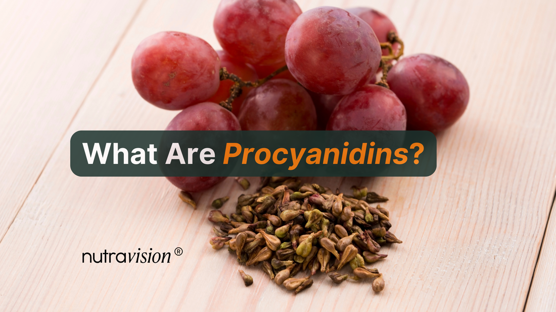 What Are Procyanidins and Why Eye Health Experts Paying Attention