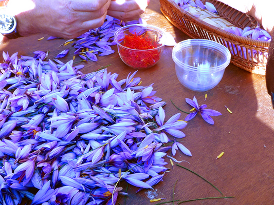 Why Nutravision Uses the World's Most Expensive Spice - Saffron - for Eyes